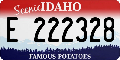 ID license plate E222328