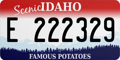 ID license plate E222329