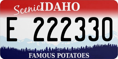 ID license plate E222330