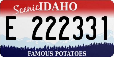 ID license plate E222331