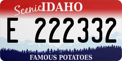 ID license plate E222332