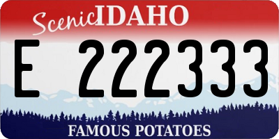ID license plate E222333