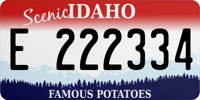 ID license plate E222334