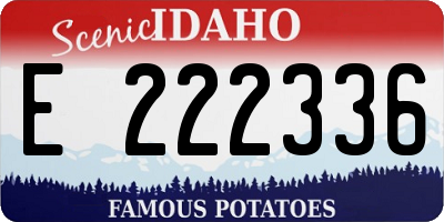 ID license plate E222336