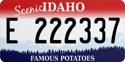 ID license plate E222337