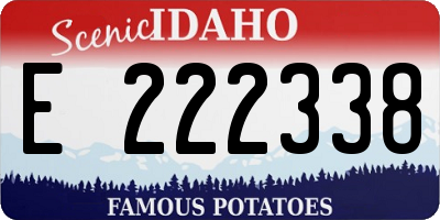 ID license plate E222338