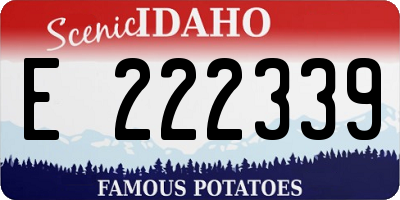 ID license plate E222339