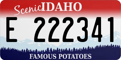ID license plate E222341