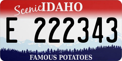 ID license plate E222343