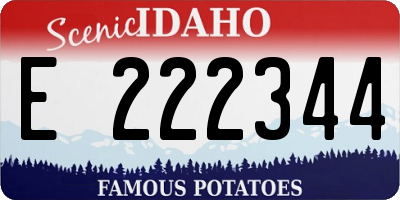 ID license plate E222344