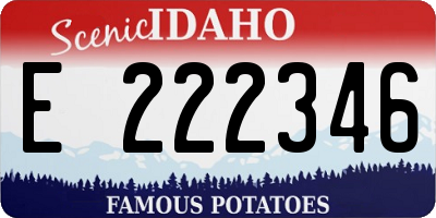 ID license plate E222346
