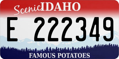 ID license plate E222349
