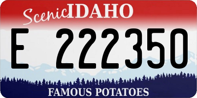 ID license plate E222350