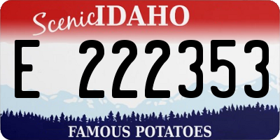 ID license plate E222353