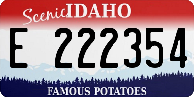 ID license plate E222354