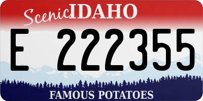 ID license plate E222355