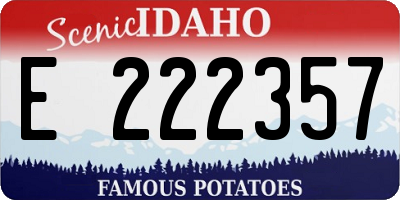 ID license plate E222357