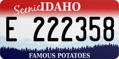 ID license plate E222358