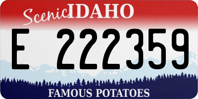 ID license plate E222359