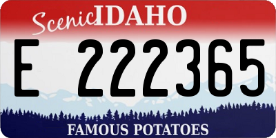 ID license plate E222365