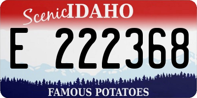 ID license plate E222368