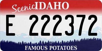 ID license plate E222372