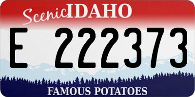 ID license plate E222373