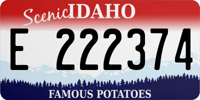 ID license plate E222374