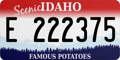 ID license plate E222375