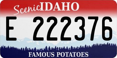 ID license plate E222376