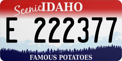 ID license plate E222377