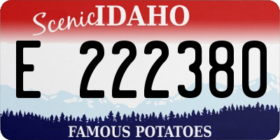 ID license plate E222380