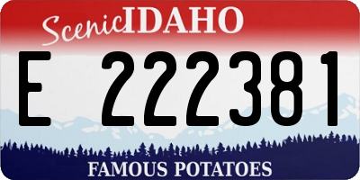 ID license plate E222381