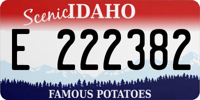 ID license plate E222382