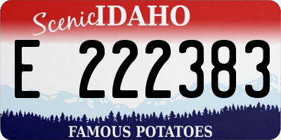ID license plate E222383