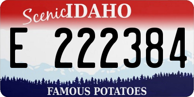 ID license plate E222384