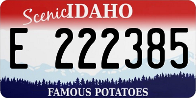 ID license plate E222385