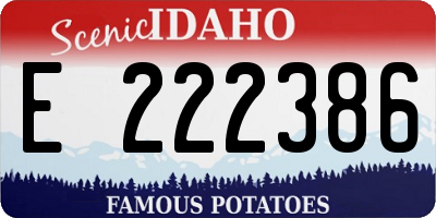 ID license plate E222386