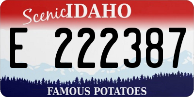 ID license plate E222387