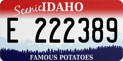 ID license plate E222389