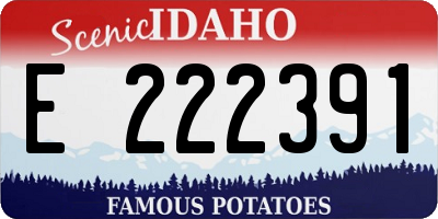 ID license plate E222391