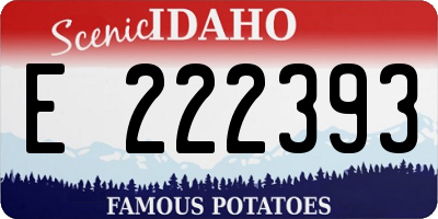 ID license plate E222393