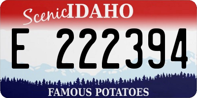 ID license plate E222394