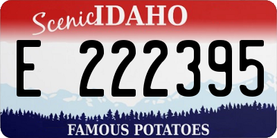 ID license plate E222395