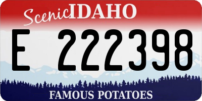 ID license plate E222398