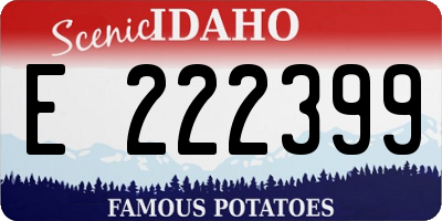 ID license plate E222399