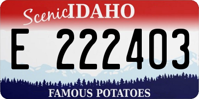 ID license plate E222403