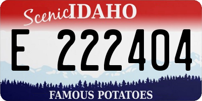 ID license plate E222404