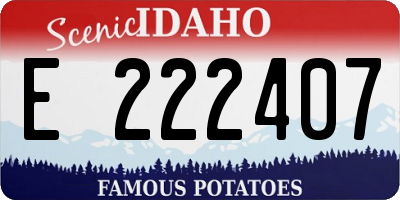 ID license plate E222407