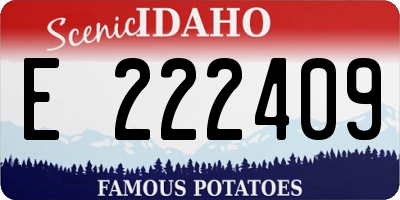 ID license plate E222409